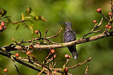 2023年2月Steam Deck热门游戏排行：《霍格沃茨之遗》登顶